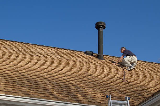 Best Roof Moss and Algae Removal  in Lawnton, PA
