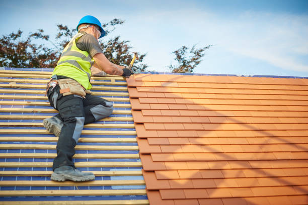 Best Sheet Metal Roofing  in Lawnton, PA